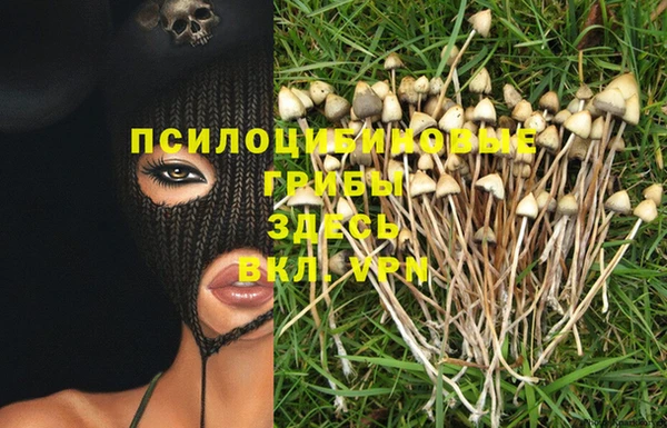 бутират Абаза